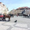 プラハ・旧市街ぶらり編！どこを歩いても何を見ても美しい